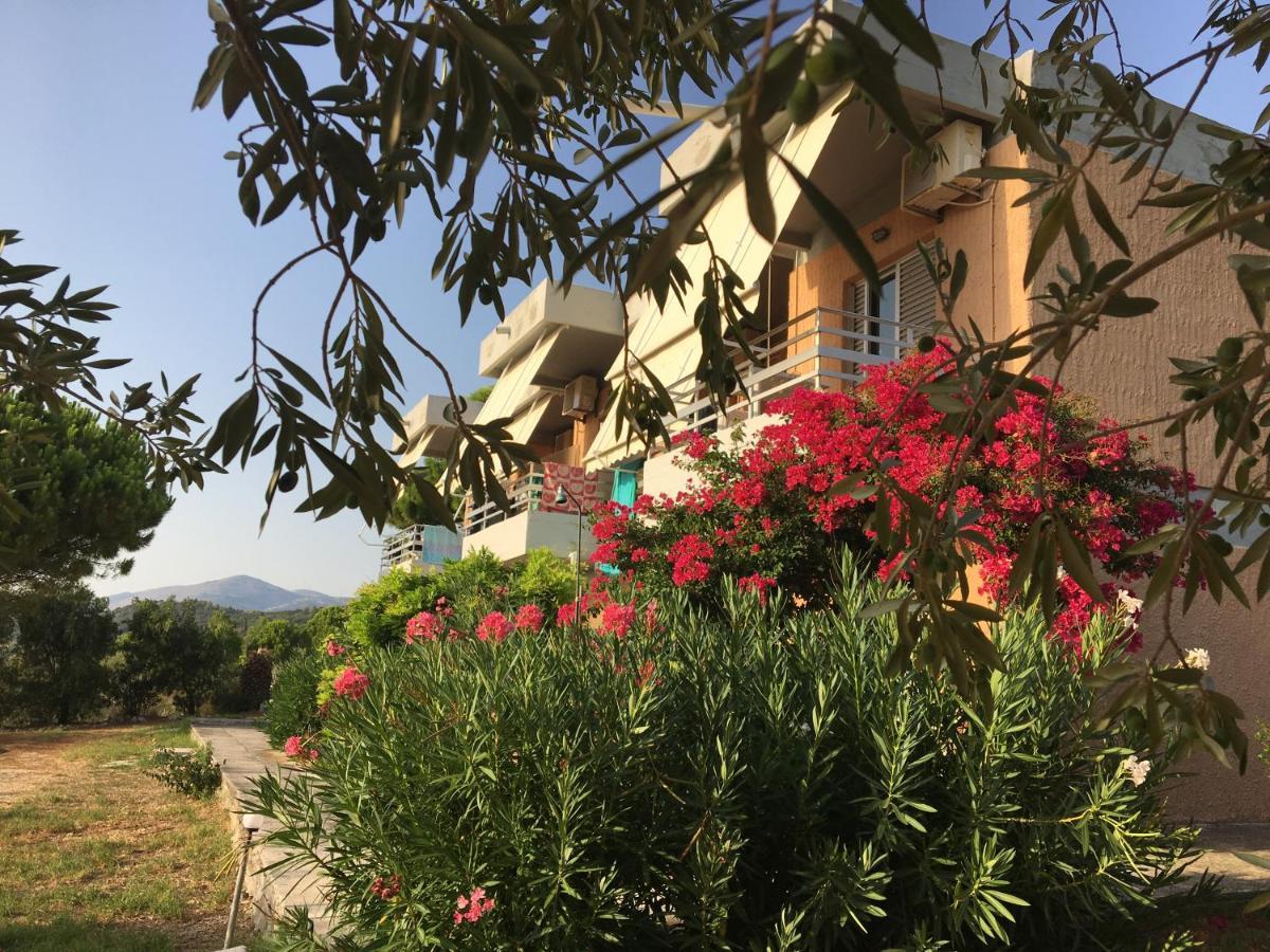 לאסי Galini Studios And Apartments מראה חיצוני תמונה